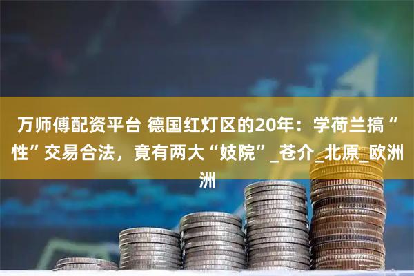 万师傅配资平台 德国红灯区的20年：学荷兰搞“性”交易合法，竟有两大“妓院”_苍介_北原_欧洲