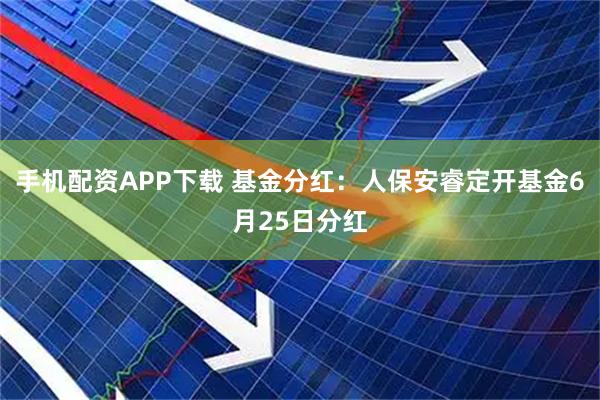 手机配资APP下载 基金分红:人保安睿定开基金6月25日分红